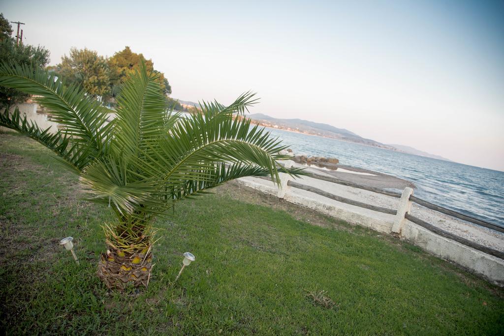 On The Wave Studios Sithonia エクステリア 写真